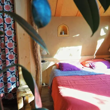 Ecolodge La Belle Verte Lodge *