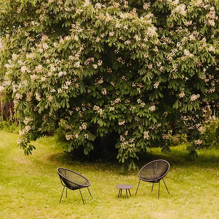 La Belle Verte